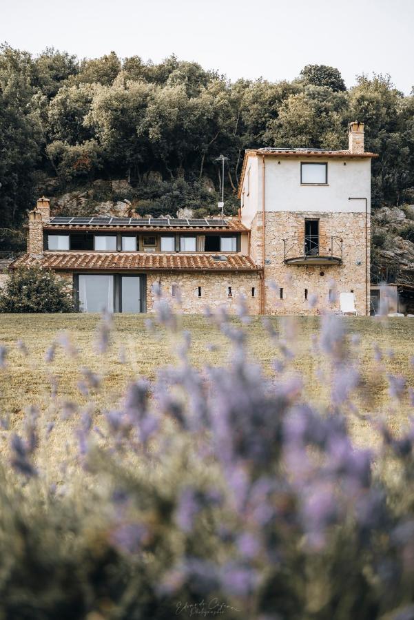 La Casa Del Tartufo Lägenhet Torri in Sabina Exteriör bild